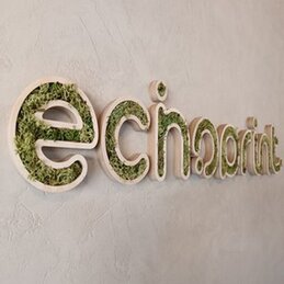 Lettres Végétales en Bois : Décoration Murale Naturelle